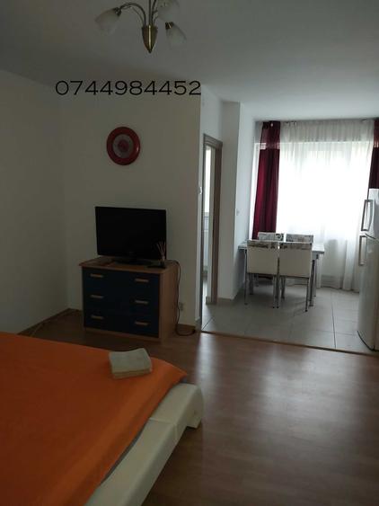 Garsoniera Drumul Taberei Favorit Orizont direct proprietar - 4