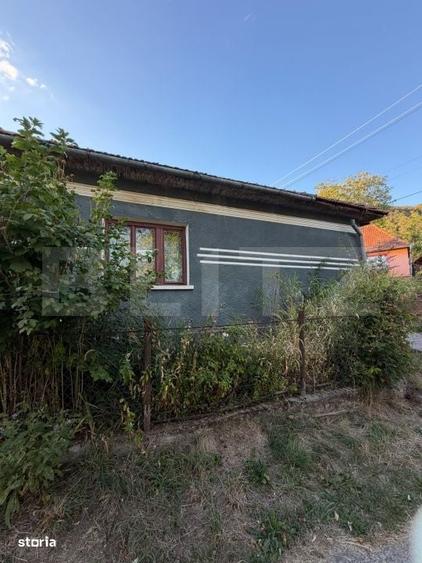 Casă cu 3 camere în Vinerea