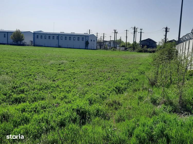 FARA COMISIOANE in Joita aproape de drumul asfaltat teren de 4600mp - 7