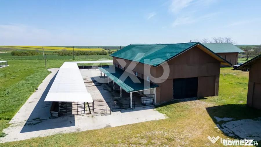 Black Angus Farm with authorized Slaughterhouse - 5