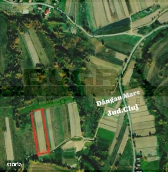 Teren extravilan, 4265 mp, zona Dangau Mare - 1