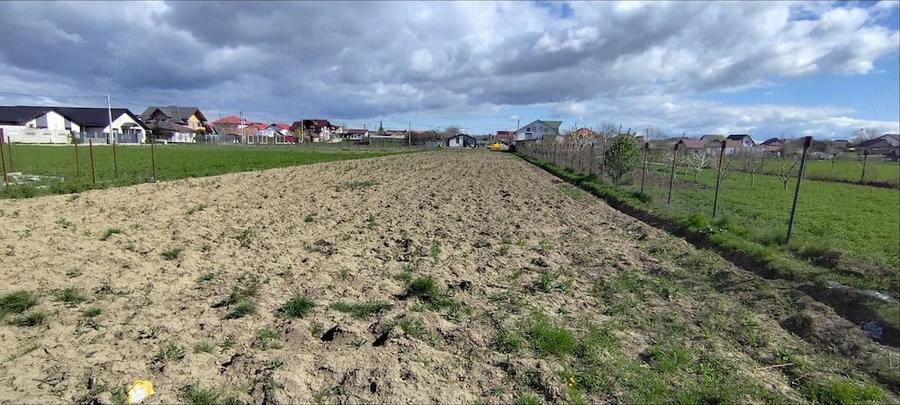 Teren de 2500 mp, în Căpățânești