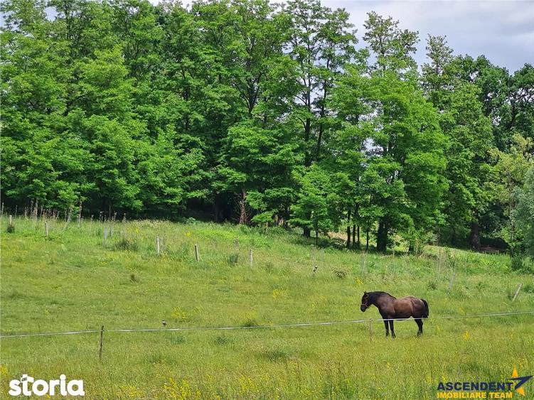Casă cu 7 camere cu Teren 25000 Mp în Hărman