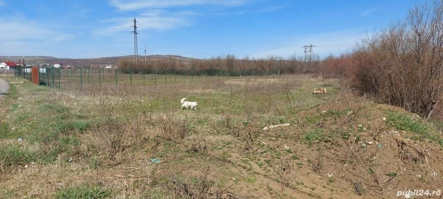 Teren în Valea Călugărească