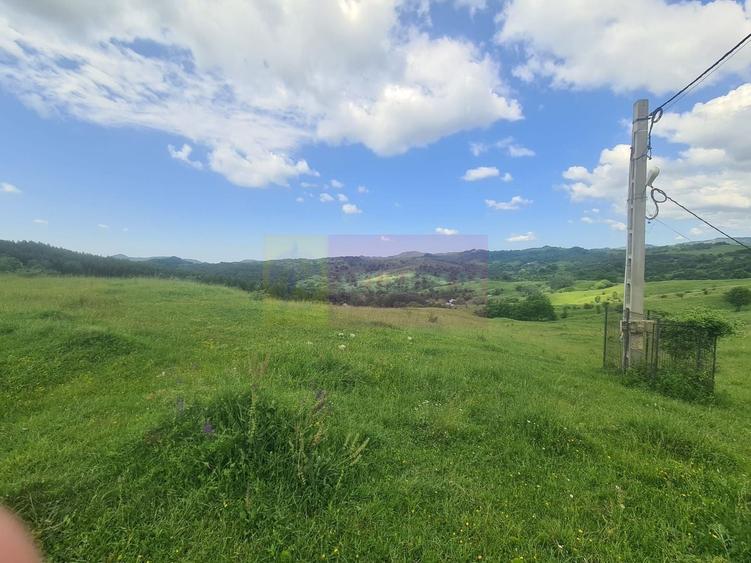 Teren agricol intravilan de 9037 mp, în Plaiul Tălii