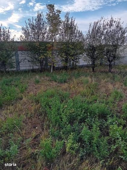 Spațiu comercial, în Cornetu