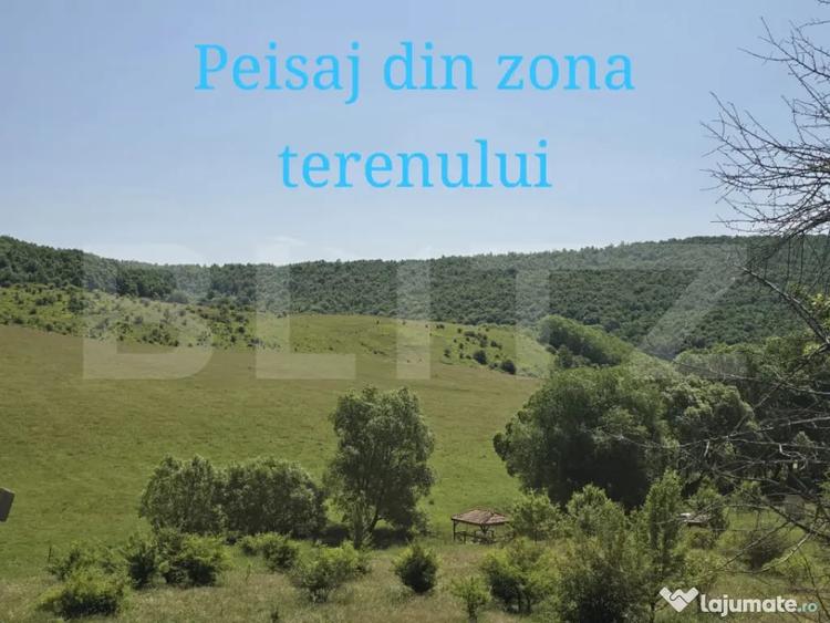 Teren de 1200 mp, în Sălicea