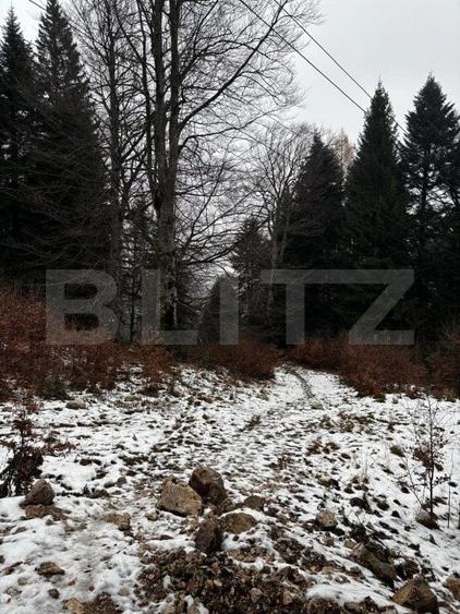 Teren Construcții intravilan de 4000 mp, în Calea Moroieni