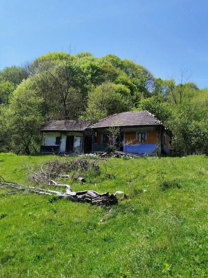 Teren de 7795 mp, în Opătești