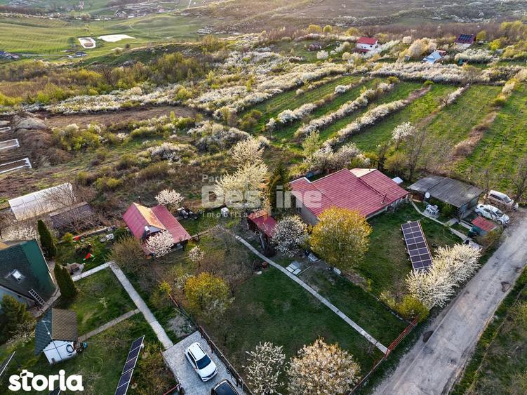 Teren de 900 mp, în Bârnova