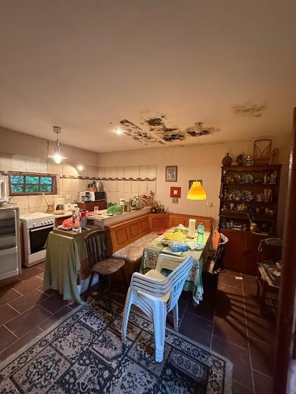 Casă individuală cu 4 camere cu Teren 2300 Mp în Siliștea Snagovului