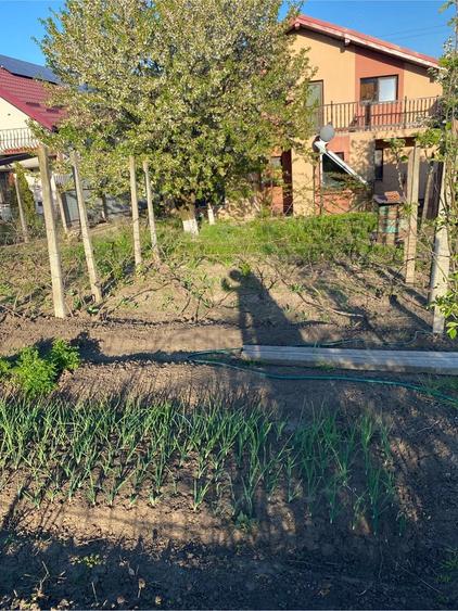 Casă cu 1 camere cu Teren 1050 Mp în Vulturi