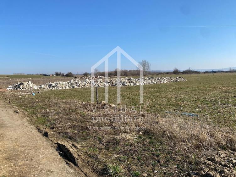 Teren agricol intravilan de 16310 mp, în Rusciori