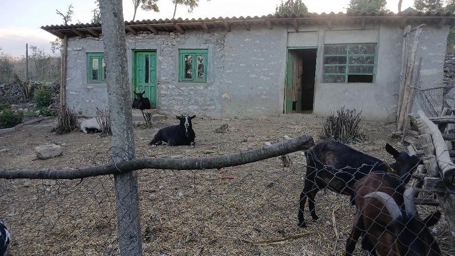 Casă cu Teren 2000 Mp în Cerchezu