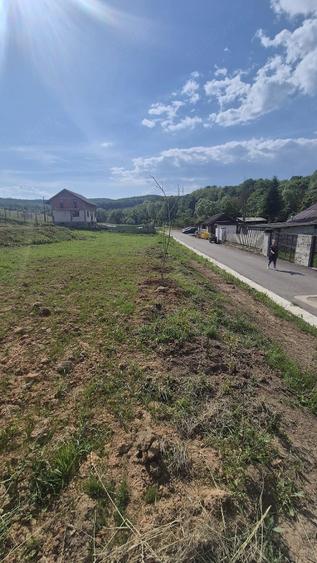 Teren de 1100 mp, în Bârsău
