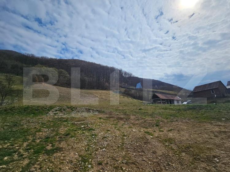 Teren Construcții intravilan de 4000 mp, în Cugir