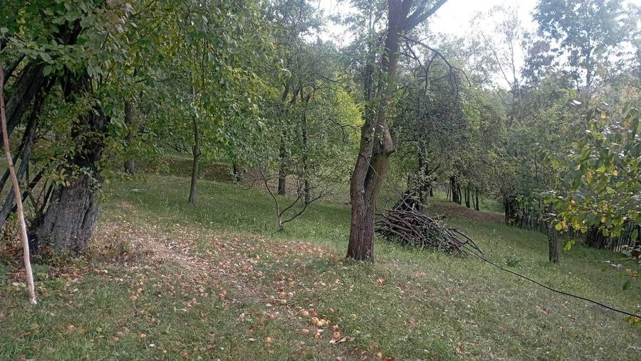 Casă cu 3 camere cu Teren 66 Mp în Secăria