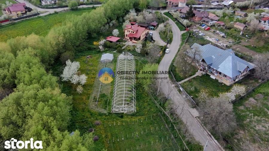 Vila cu 8.800 mp teren in Gura Vaii, la 12 km de Piatra Neamt - 11
