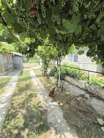 Casa 2 Camere cu Teren 1000 mp, Langa Pensiunea Laguna Vadu - 19