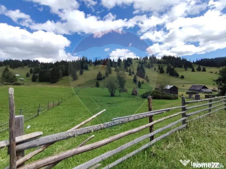 Teren de 14318 mp, în Paltin