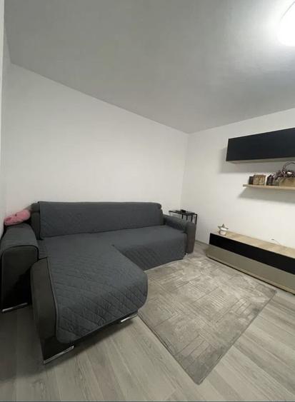 AP. 2 CAMERE- IANCULUI, PET-FRIENDLY, BUCATARIE INCHISA, REABILITAT - 1