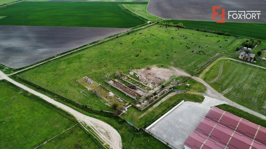 Teren Construcții intravilan de 58340 mp, în Sânmartinu Sârbesc