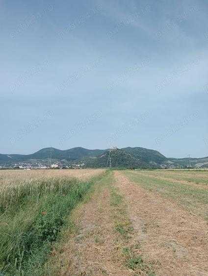 Teren de 6600 mp, în Central