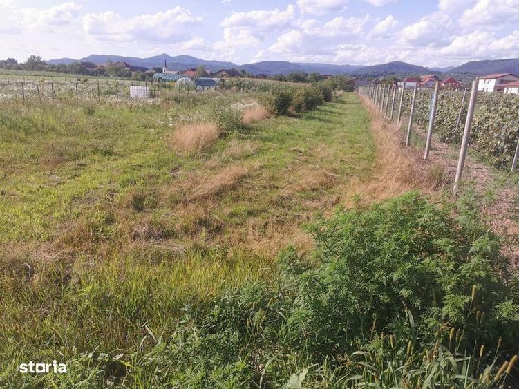 Teren de 2600 mp, în Recea