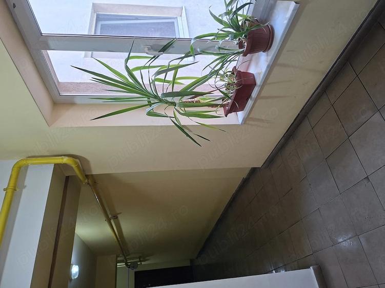 Garsonieră decomandată în Găvana