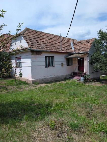 Casă cu Teren 3000 Mp în Albești