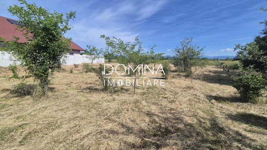 Teren Construcții intravilan de 801 mp, în Exterior Est