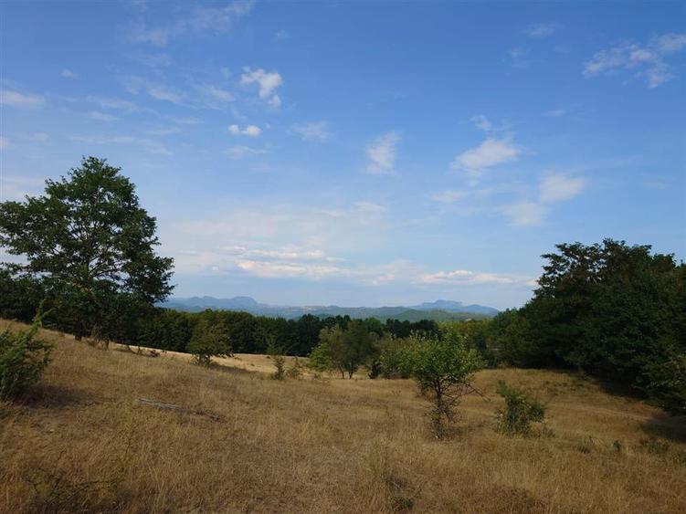 Teren agricol extravilan de 9059 mp, în Exterior Est