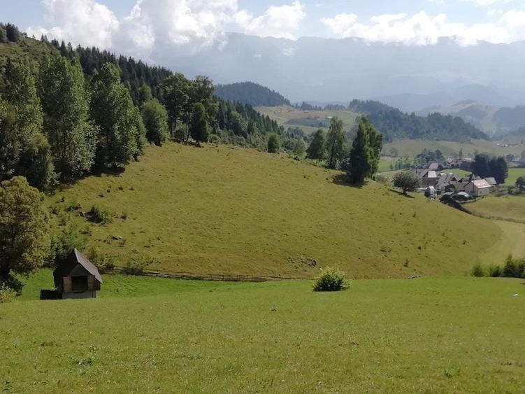 Teren agricol extravilan de 17537 mp, în Fundata
