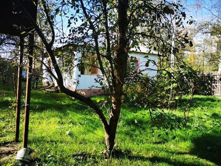 Casă individuală cu 2 camere cu Teren 2500 Mp în Gruiu