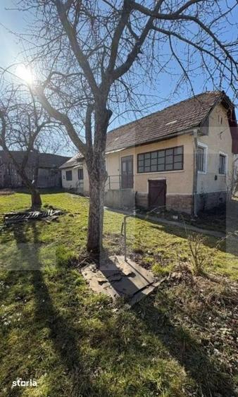 Casă cu 4 camere cu Teren 1210 Mp în Valea Crișului