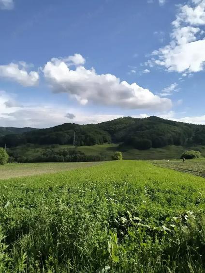 Teren de 2792 mp, în Rotarea