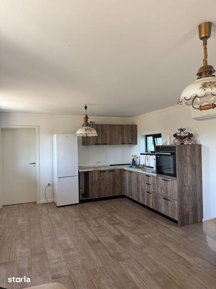 Casă cu 1 camere cu Teren 1460 Mp în Peciu Nou