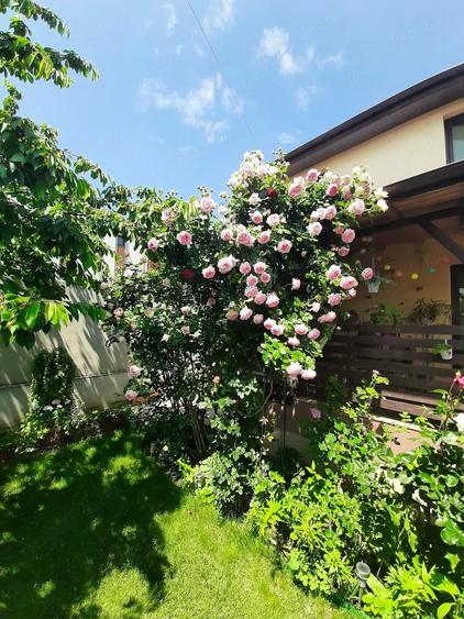 Casă cu Teren 300 Mp în Chiajna