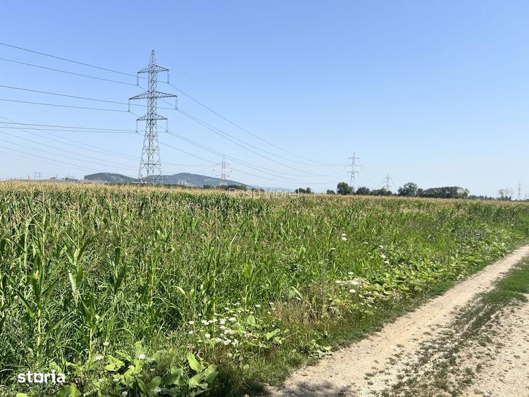 Teren intravilan de vanzare