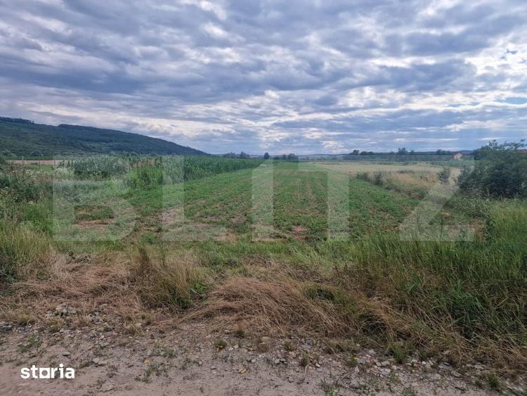 Teren de 4300 mp, în Zorilor
