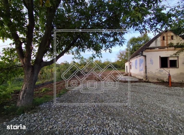 Teren intravilan si casa cu livada in Sacel - pretabil investitii - 11