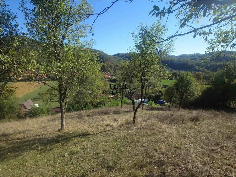Teren de 1274 mp, în Criș