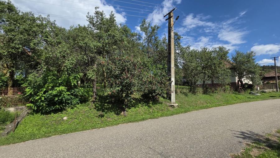 Teren Intravilan Hereclean 3,547 mp - 2