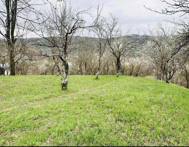 Teren de 5684 mp, în Drajna