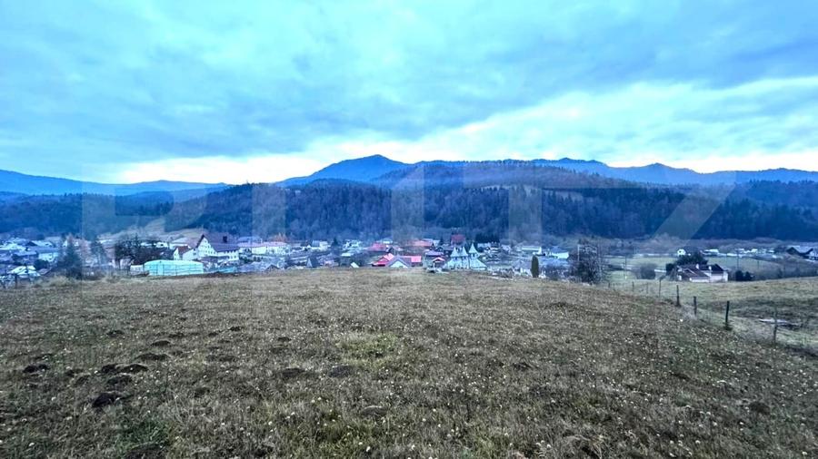 Teren Construcții intravilan de 2500 mp, în Colibița