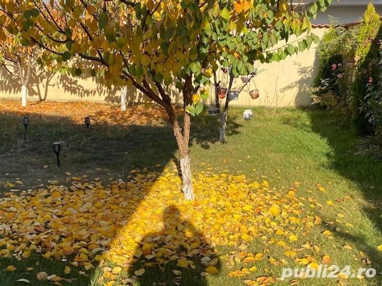 Casă cu 5 camere cu Teren 776 Mp în Central