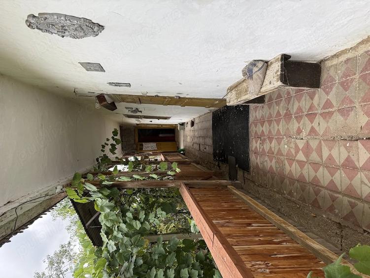 Casă cu Teren 3001 Mp în Bethausen