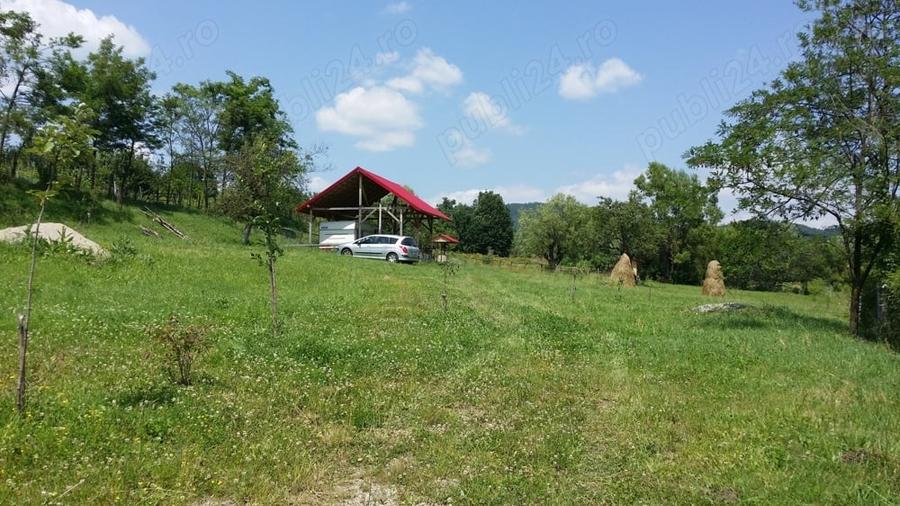 Teren de 5000 mp, în Galeșu