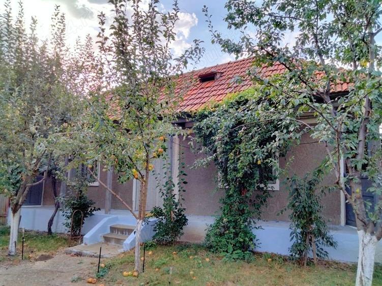 Casă cu 3 camere cu Teren 1500 Mp în Trifești