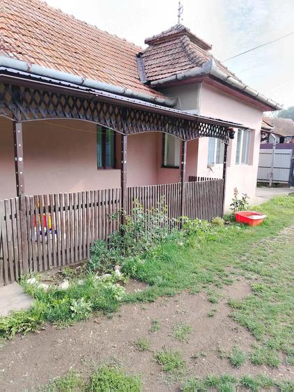 Casă cu 4 camere cu Teren 1820 Mp în Bădeni